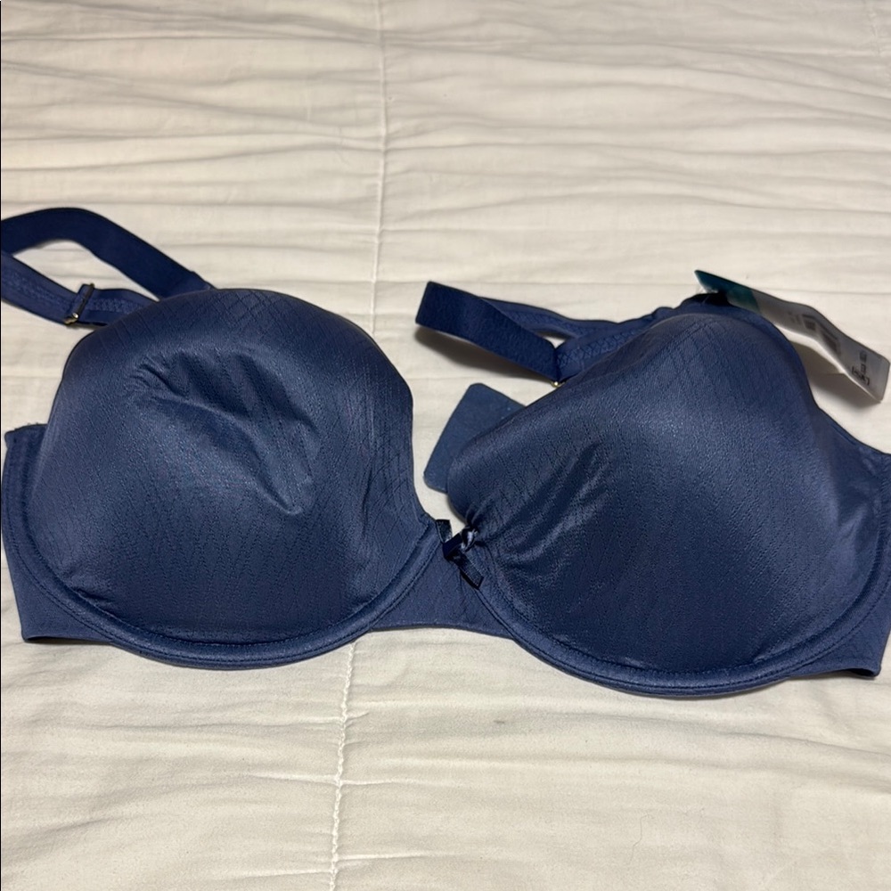 Elegant Blue Women's Bra